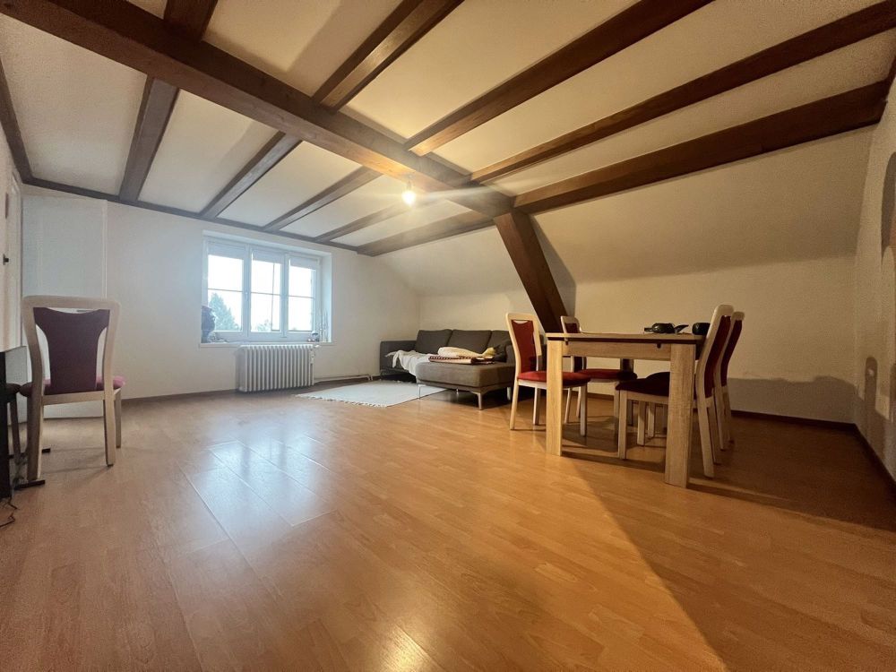 Charmante und grosszügige 3-Zimmerwohnung an zentraler Lage - Wohnzimmer