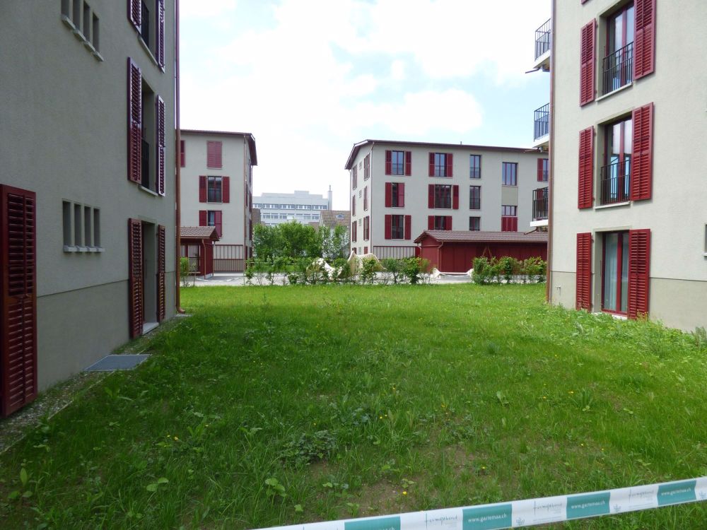 Pappelhöfe - Bild 2