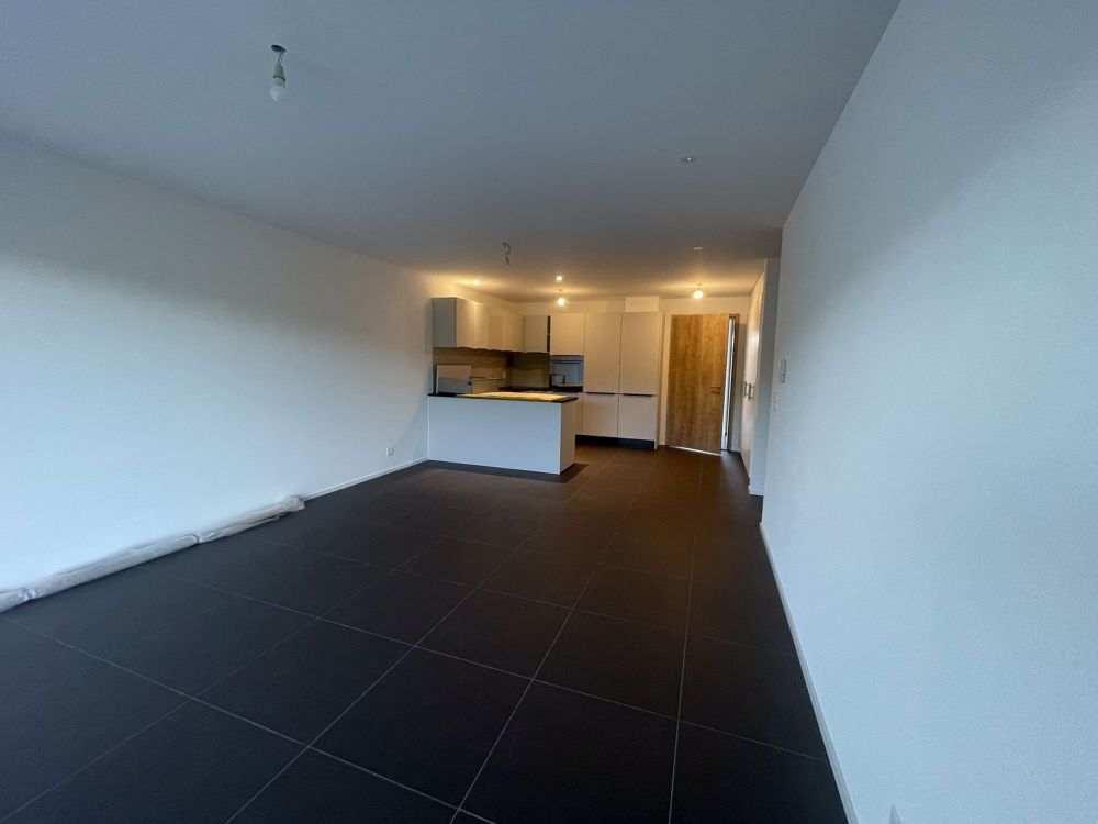Prachtvolle 3,5-Zimmer-Wohnung neu - Bild 4