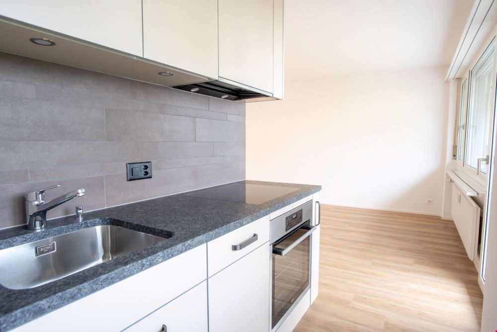 neu sanierte Wohnung zu vermieten - Bild 1