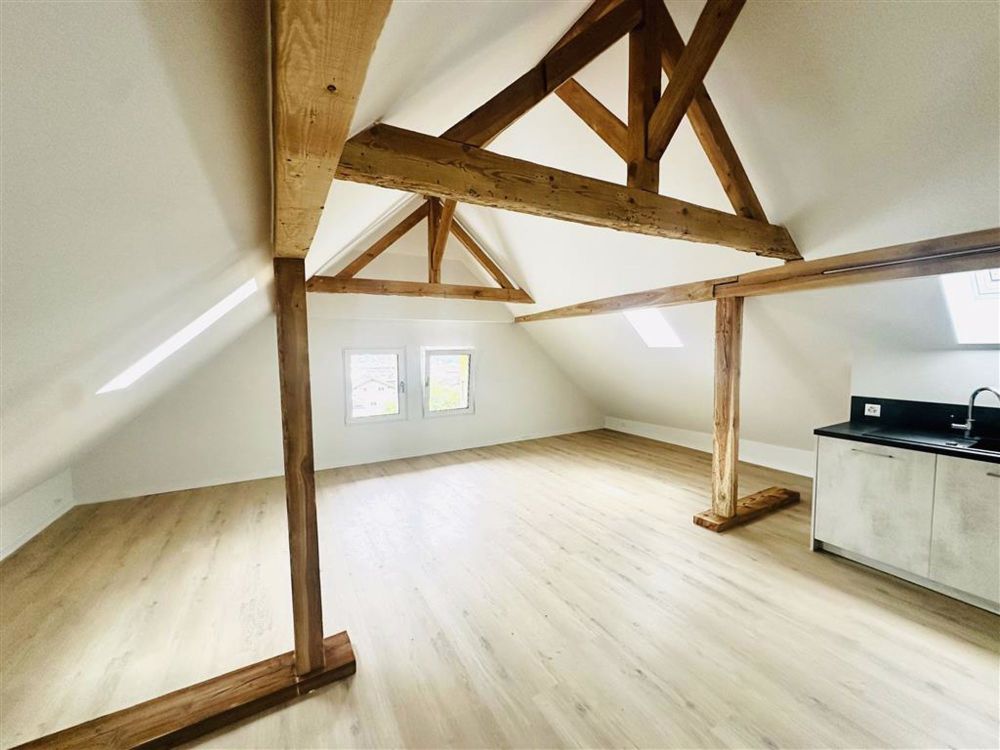 Loft,1.5,50 - Pièce principale 2