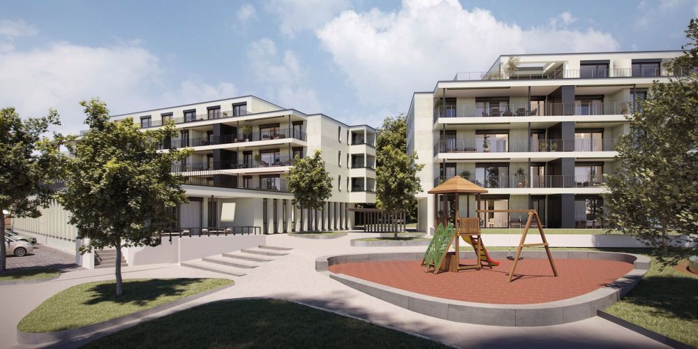 PALEAS - Verwurzelt in der Region - Bild 1