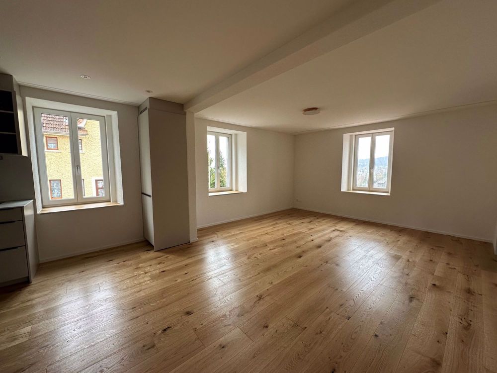NEU renovierte 3.5 Zimmerwohnung - Erstvermietung - Bild 1