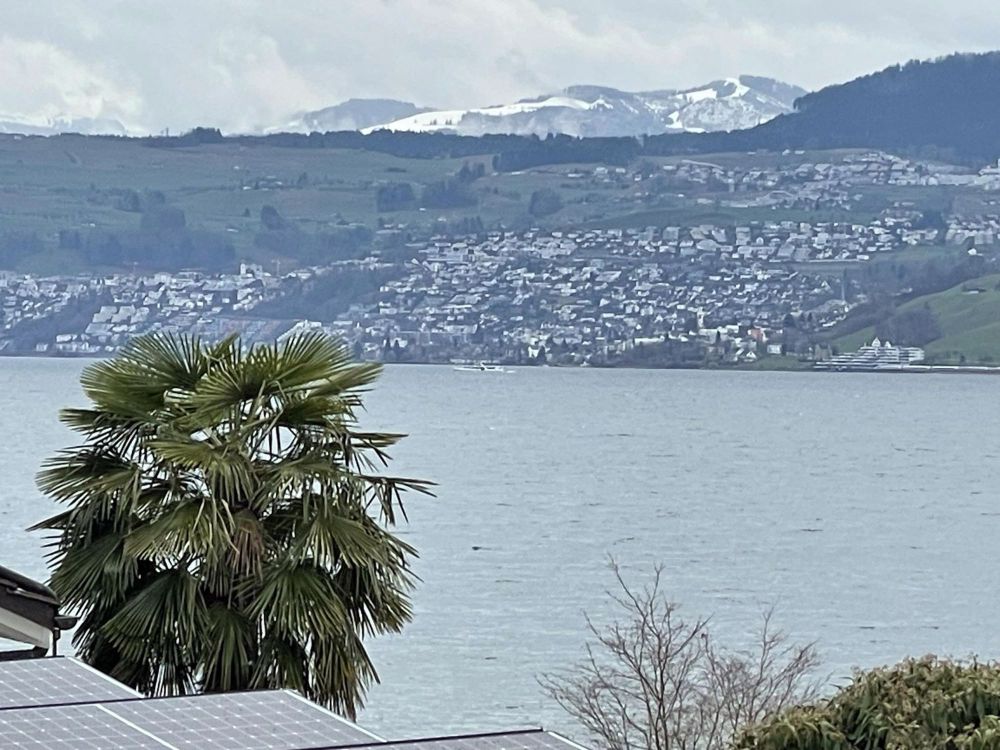 1.0 Zimmerwohnung in Uetikon am See - Bild 6
