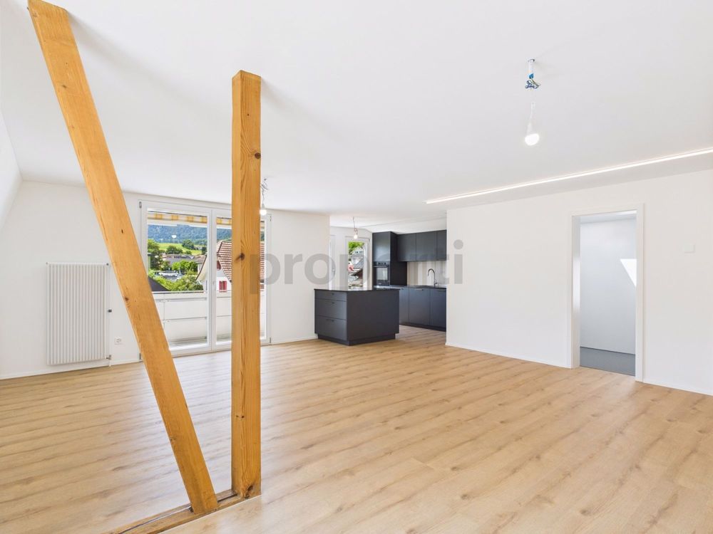Apartment for rent in Matzendorf, Switzerland - Bild 1