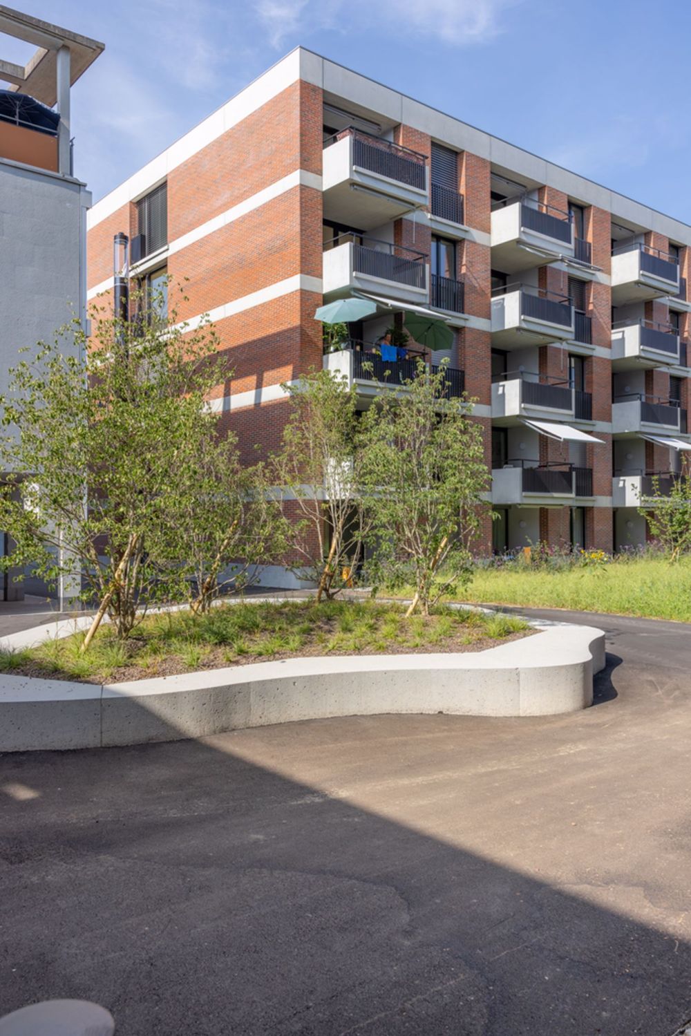 Schöne 2.5-Zimmer-Wohnung nahe Bahnhof Zofingen - Bild 1