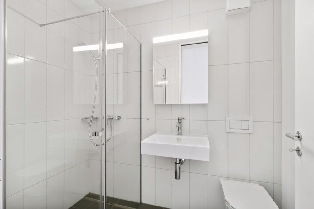 4 Zimmer-Wohnung, 8045 Zürich - backbone_507323-B_040_HD.jpg