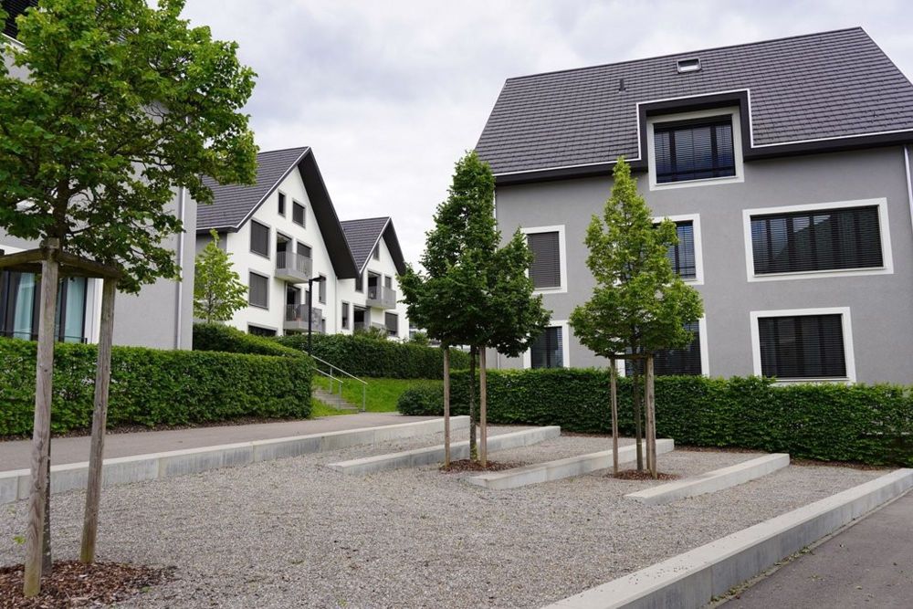 3 ½ Zimmer-Wohnung in Aesch mieten - Bild 1