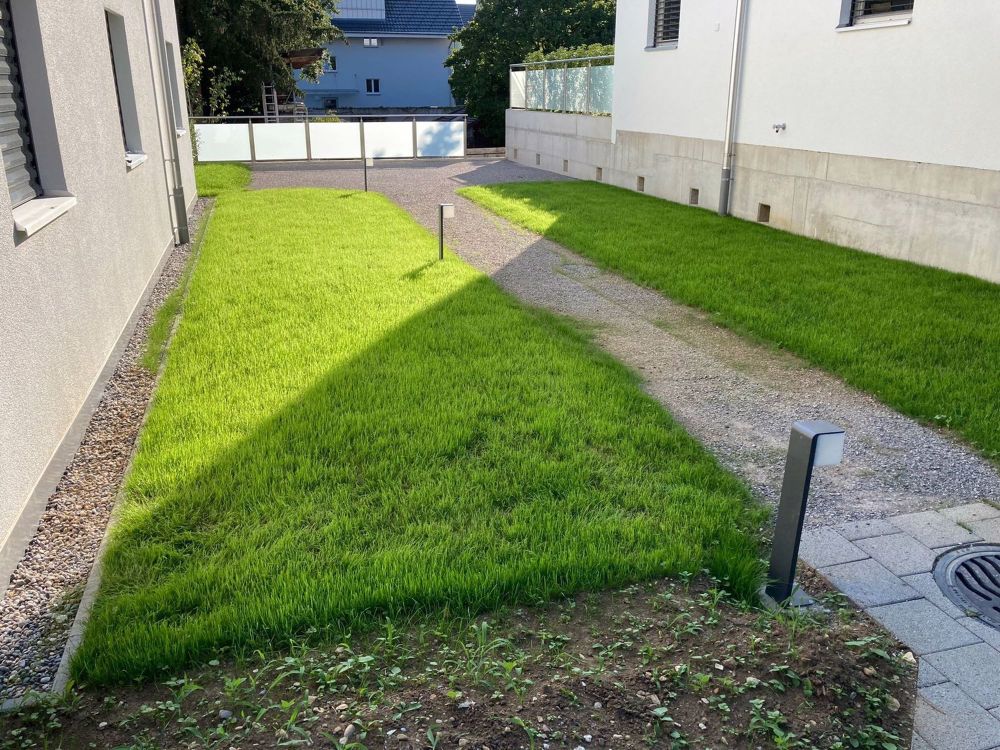 4 1/2 ZI-WOHNUNG in MFH mit 6 WHG - Bild 7