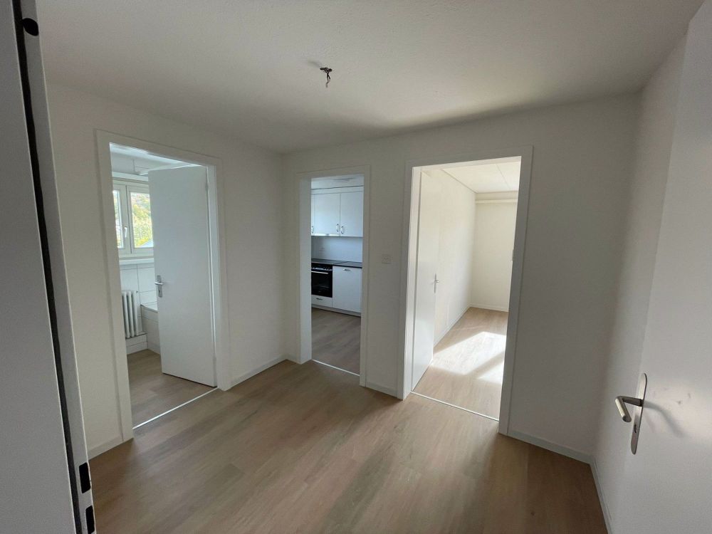 Moderne 4-Zimmer-Wohnung in Frauenfeld - Neubau 2025 - Bild 3