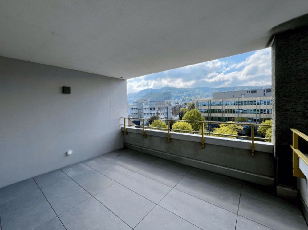 ERSTBEZUG GROSSER BALKON, SICHT AUF DEN ÜETLIBERG - Bild 2