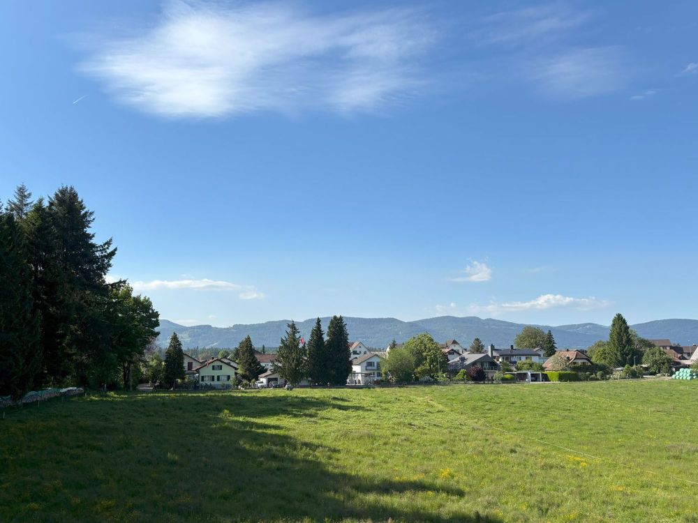 Erstbezug - Ausblick ins Grüne mit unverbaubarer Aussicht, angrenzend an Wald & Landwirtschaftszone - Bild 2