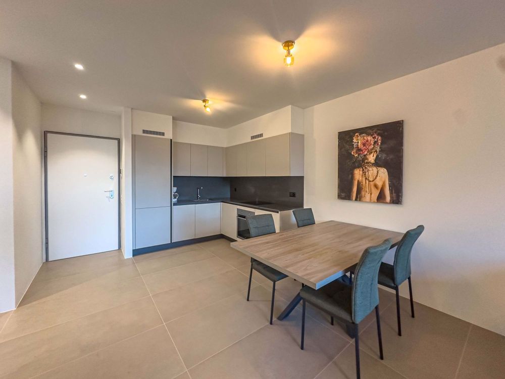 2,5 Zimmerwohnung mit Garten in Viganello - Bild 2