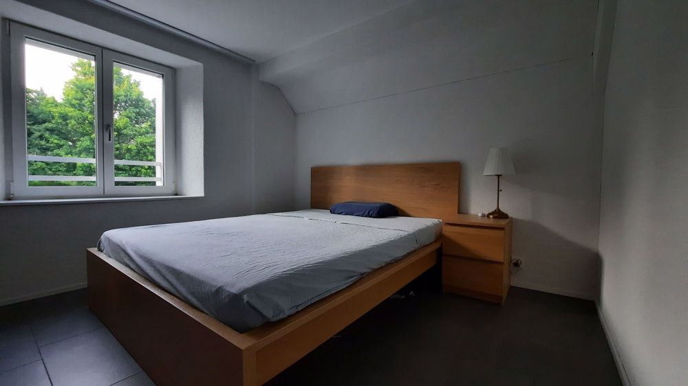Bright 3.5-room top-floor apartment with covered balcony, vaulted ceilings & panoramic view Langnau am Albis - Bedroom 1