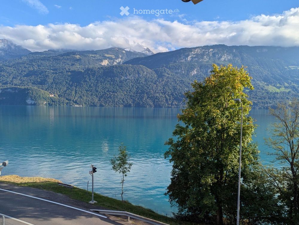 Erstvermietung einer grossen Wohnung am See - Bild 2