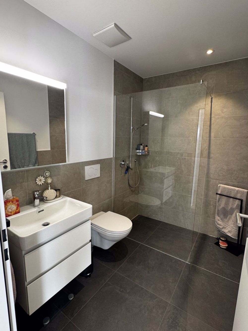 Wunderschöne 3-Zimmer-Attikawohnung mit grosser Terrasse und Weitblick bis zum Säntis - Bild 8