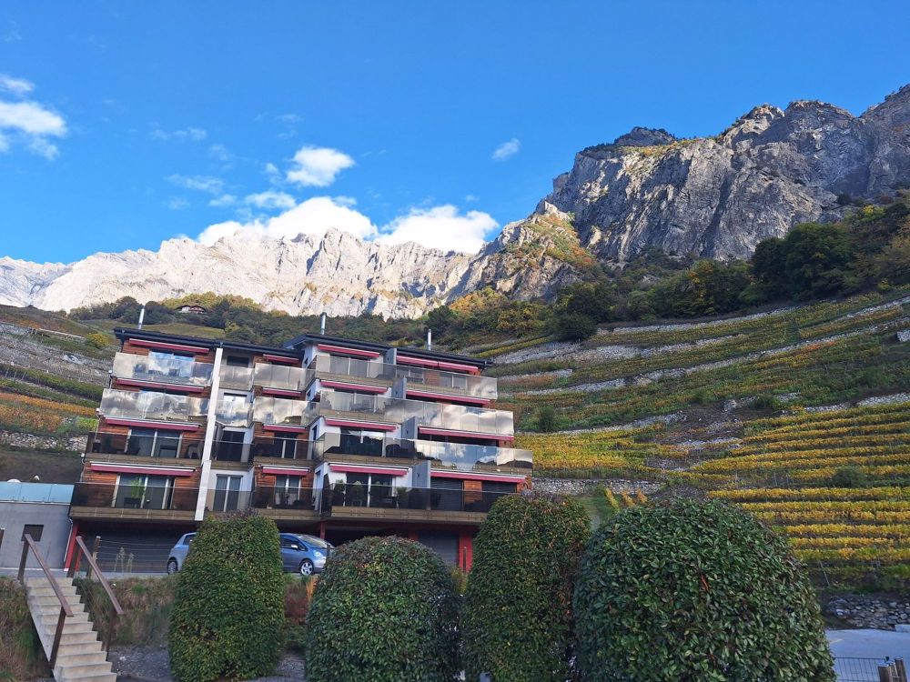 Schönes 3.5-Zimmer-Apartment mit 3 Terrassen in Chamoson - Bild 1