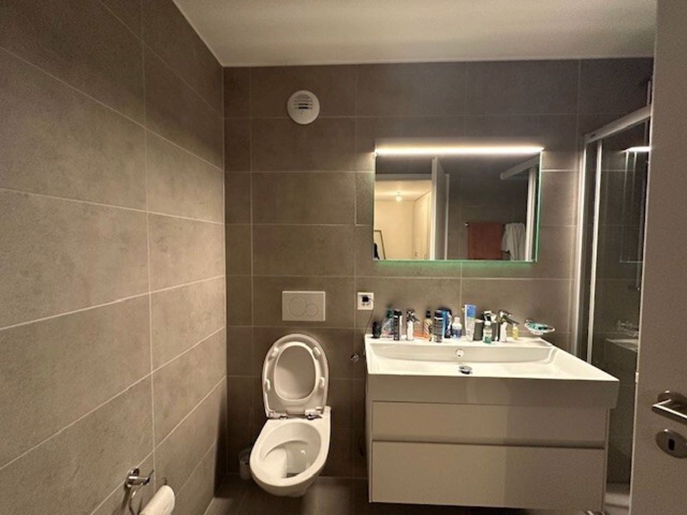 Splendide logement à proximité du centre-ville de Bussigny! - WC.jpg