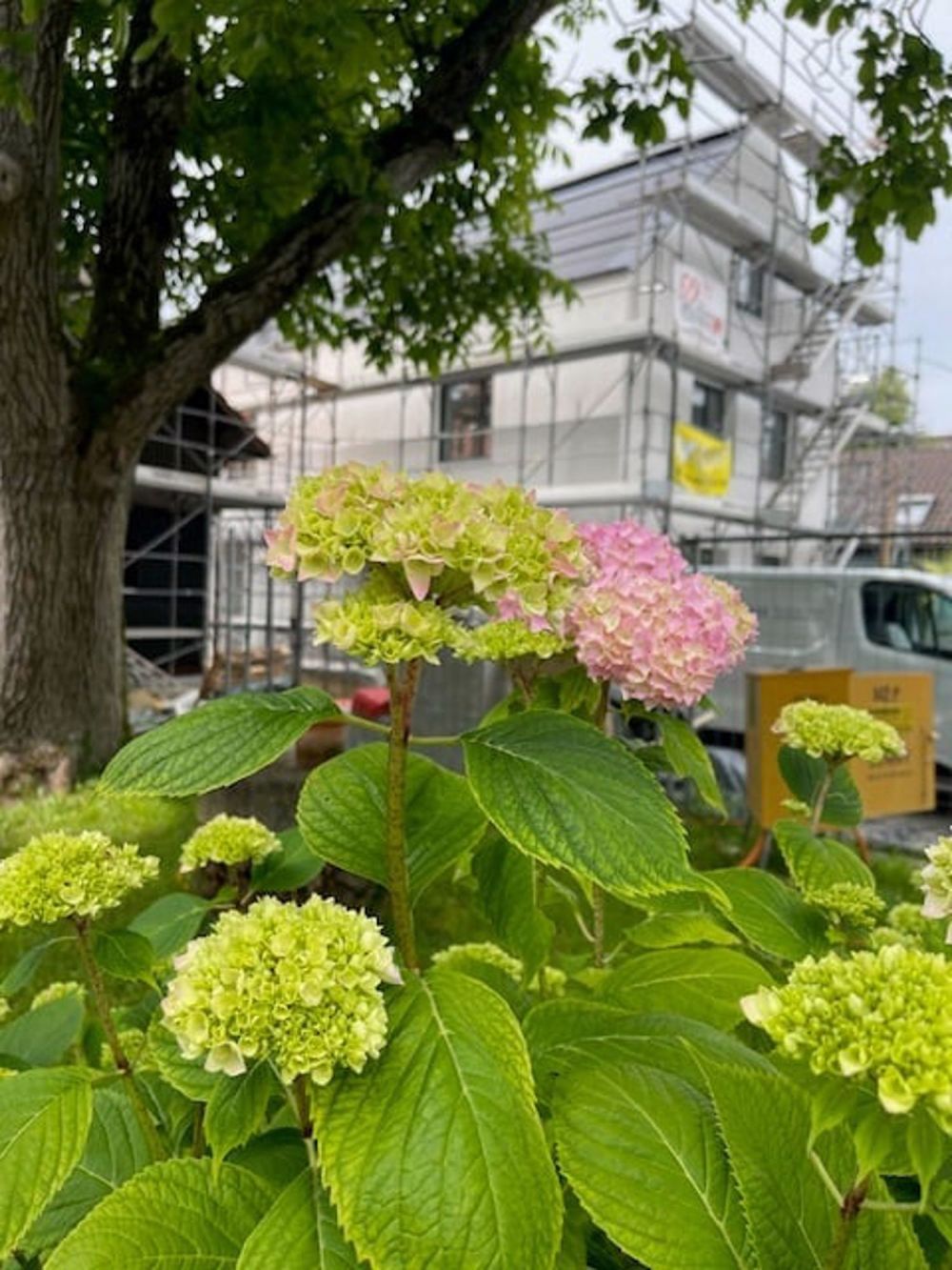 Einzigartiger Neubau mit Garten – kompakt, modern, besonders! - Bild 1