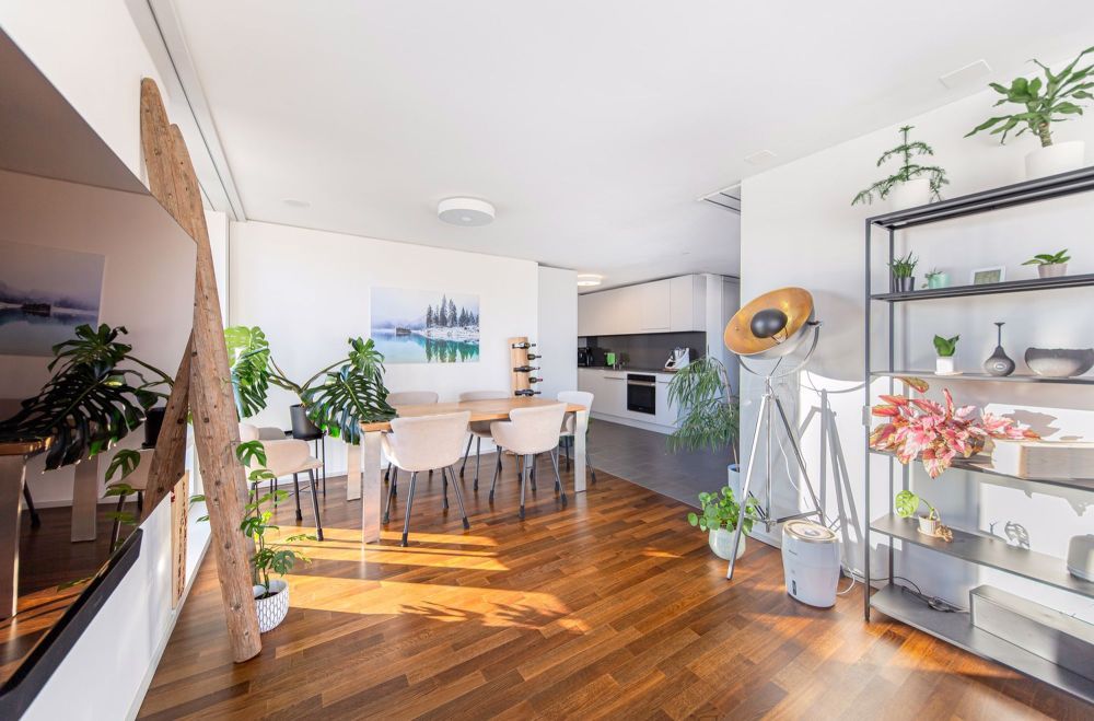 2 ½ Zimmer-Wohnung in Zürich mieten - Bild 3