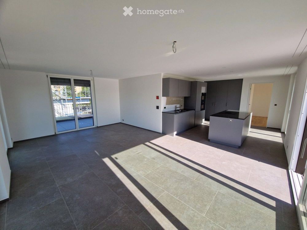 Erstvermietung: 3 1/2 Zimmer-Attika-Wohnung mit fantastischer Aus- und Fernsicht - Bild 3