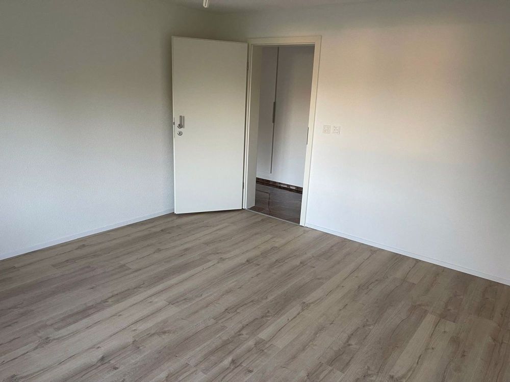 Sehr schönes 3.5-Zimmer-Apartment, komplett renoviert. Erstvermietung - Bild 3