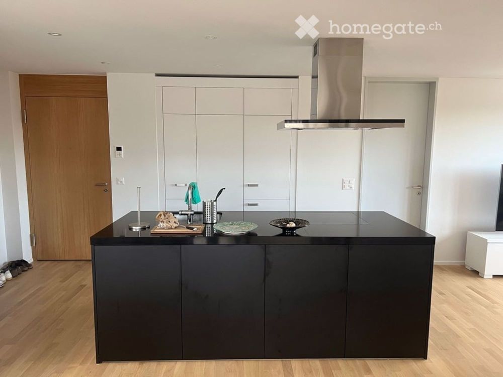 Moderne 4.5-Zimmer-Neubauwohnung in ruhiger Lage (Nähe Zürich-Triemli) - Bild 2