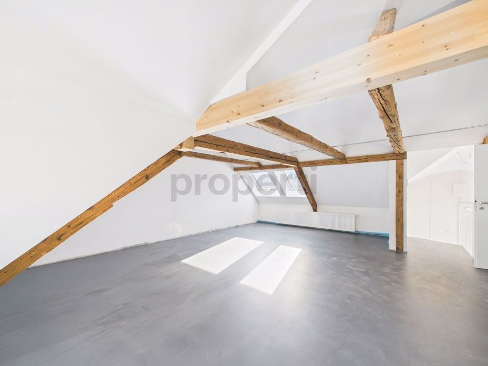 Hochwertiges Loft mit atemberaubender Aussicht in Lichtensteig, Kanton SG - Erstvermietung nach Kernsanierung - Image 1