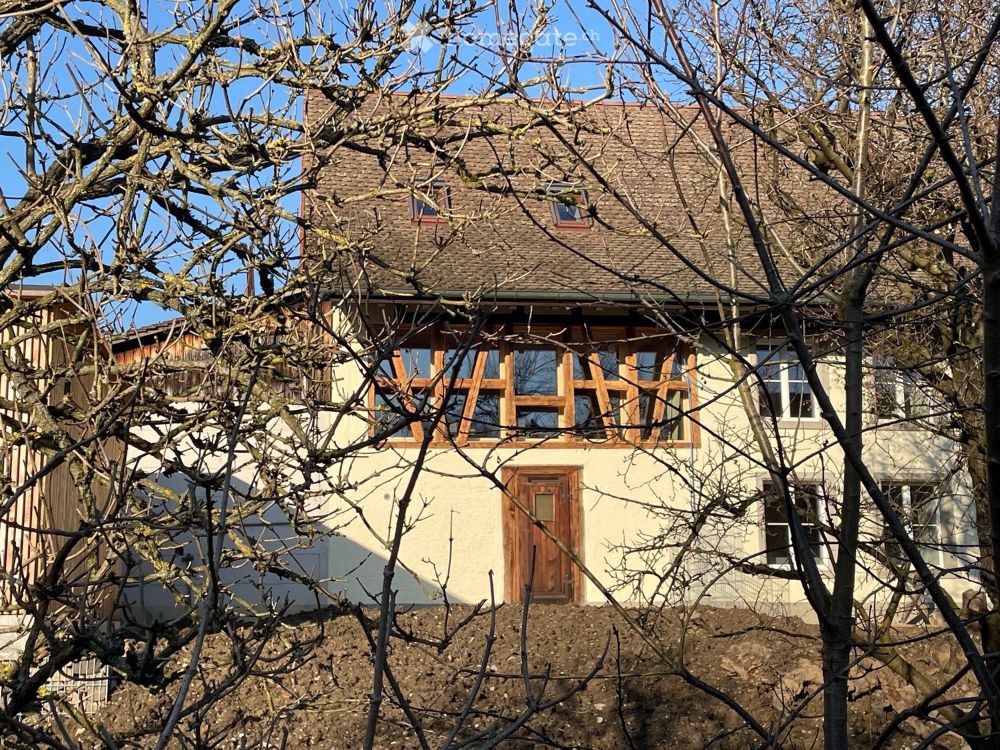 Sonnige und grosszügige 3.5-Zimmer-Wohnung als eigener Hausteil - Bild 12