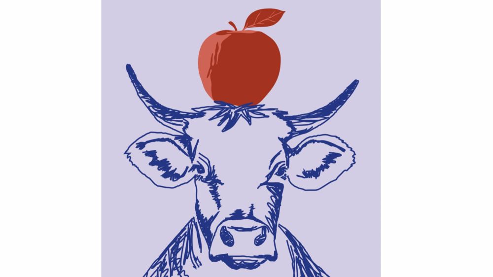 Projekt "Schweizer - Bild 1