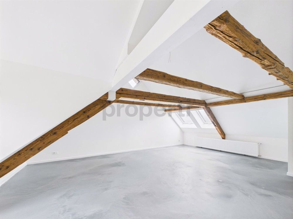 3 ½ Zimmer-Loft in Lichtensteig mieten - Bild 2