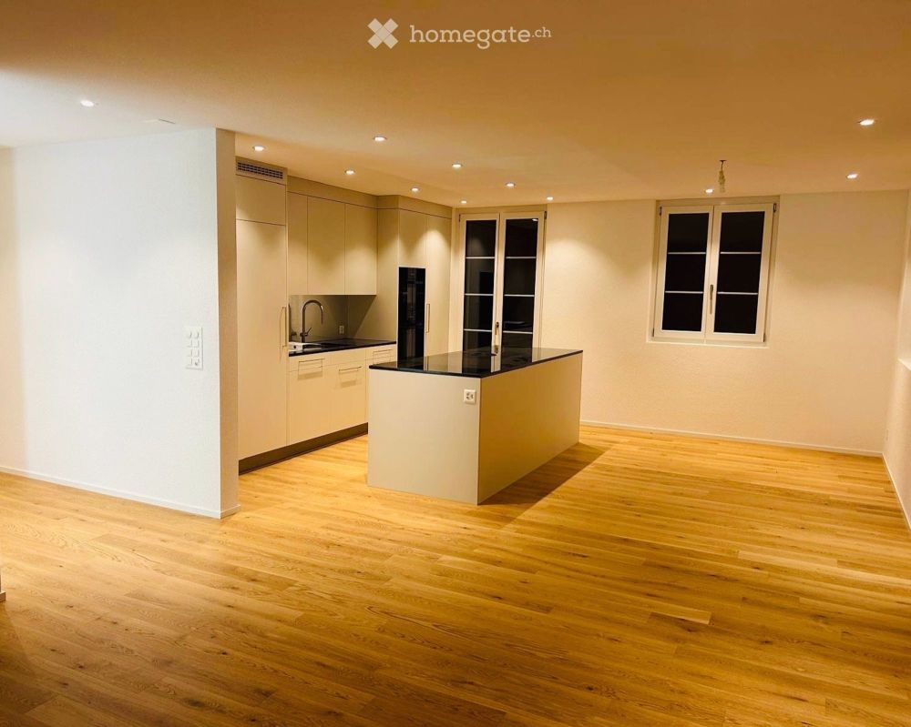 Nigelnagelneues Landhaus mit Parkplätzen und kleinem Park, 15 Autominuten vom Bellevue ZH entfernt - Bild 4