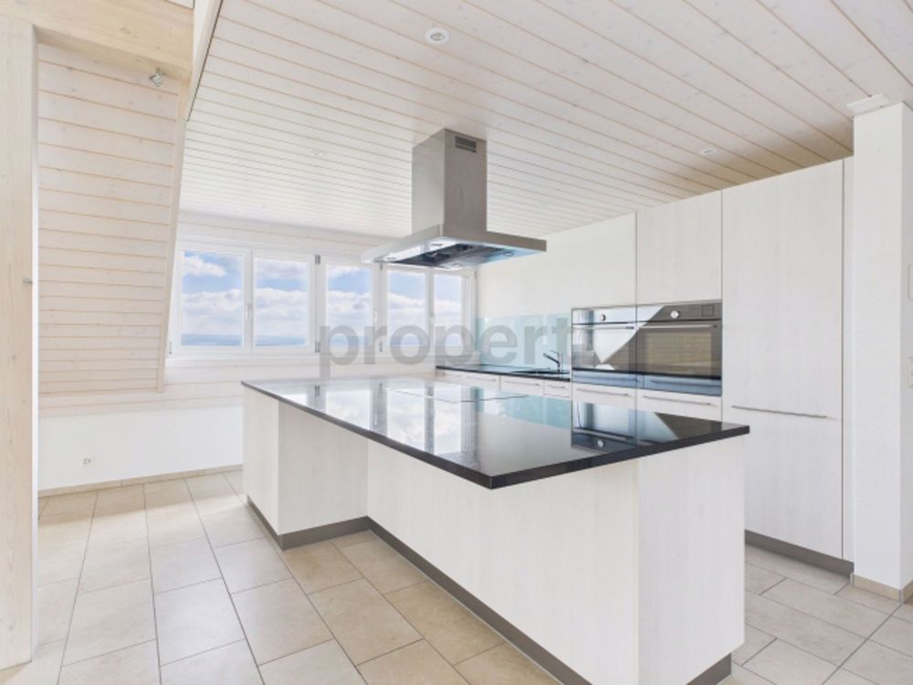 Grosszügige 3.5-Zimmer-Dachwohnung in Günsberg – moderner Wohnkomfort in ruhiger Lage - Bild 3