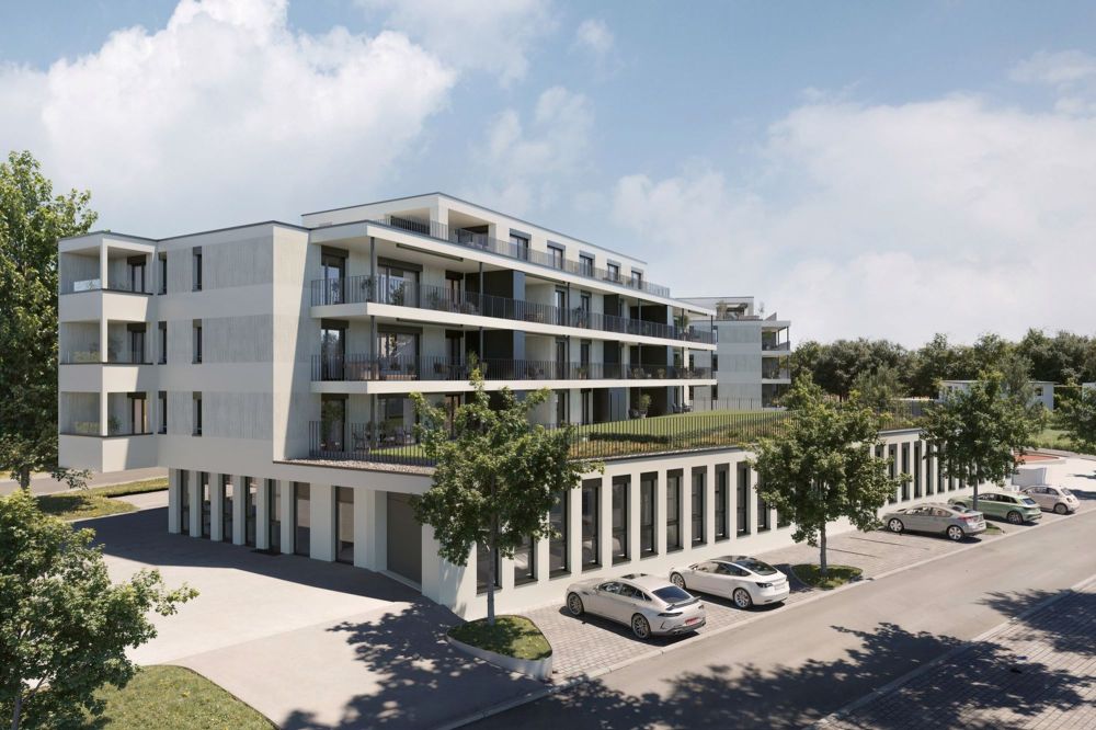PALEAS - Verwurzelt in der Region - Bild 2