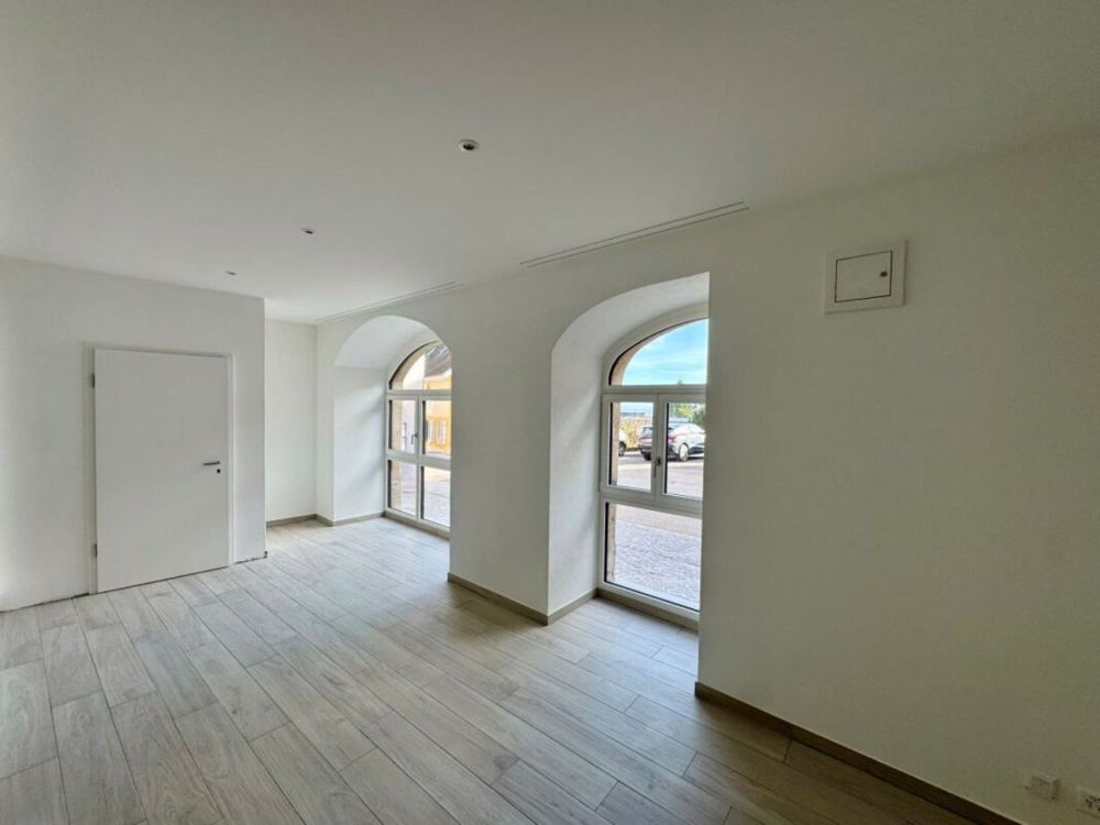 Traumhaftes Studio-Neubau von 55m² - Bild 3