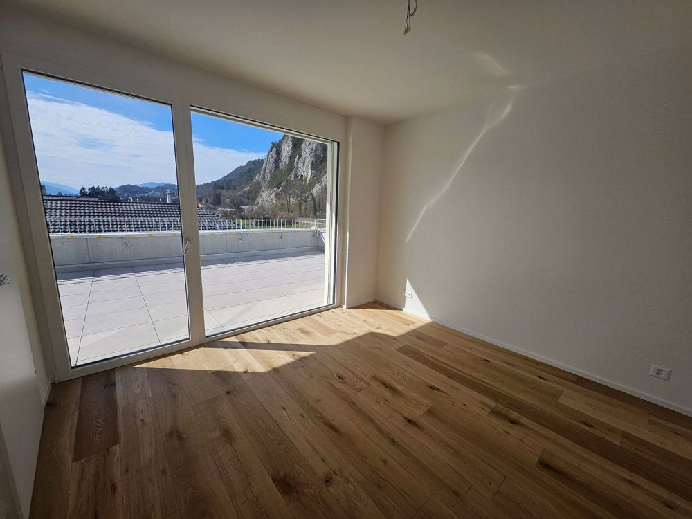 3.5 Zi Attika Wohnung mit unverbaubarer Aussicht - Bild 9