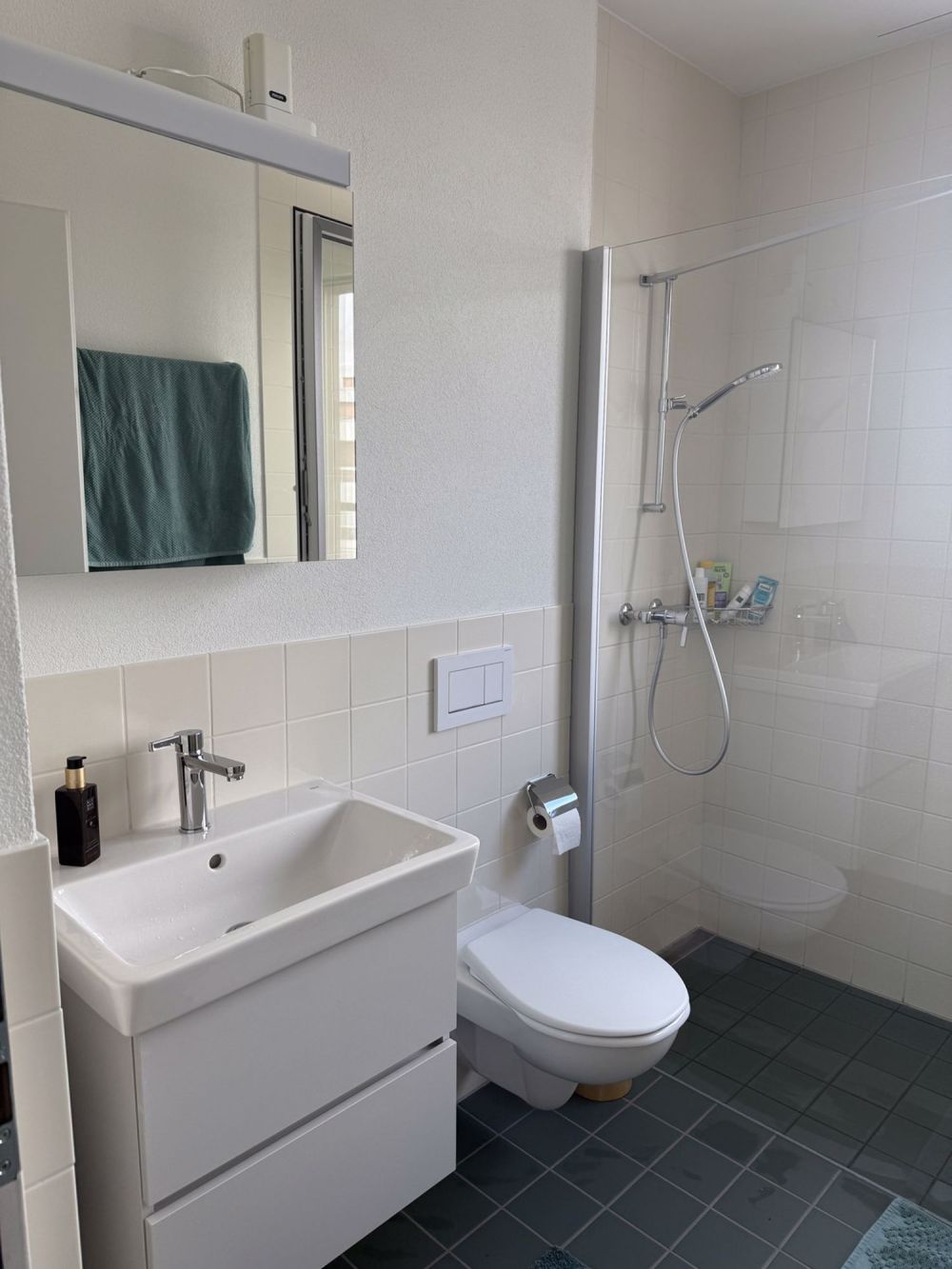 2 ½ Zimmer-Wohnung in Rheinfelden mieten - Bild 7