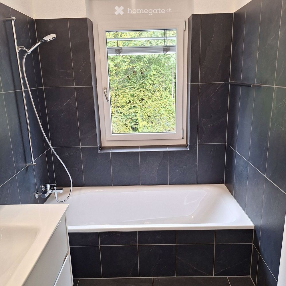 NEUBAU- Helle, grosszügige 4.5 Zimmer Dachwohnung - Bild 10