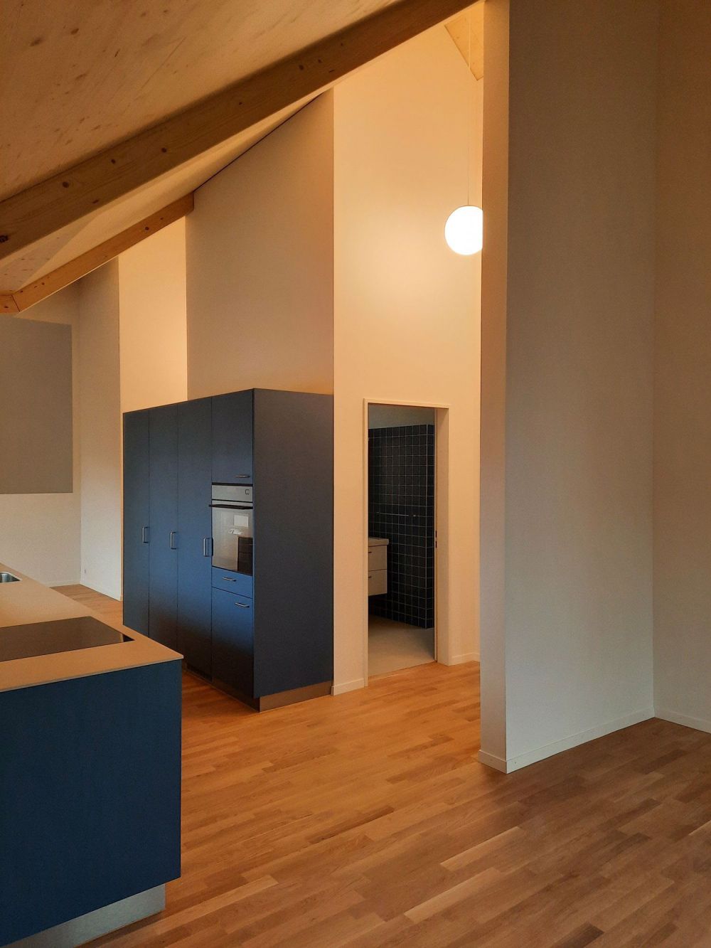 Dachwohnungen in Holzbauweise mit sonniger Loggia / und weitere individuelle Wohnungen (EG, OG) - Bild 12