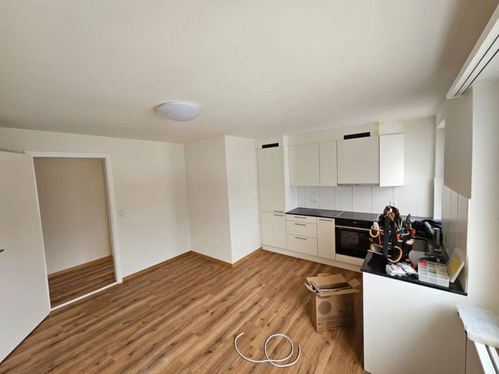 Neu renovierte 5.5 Zimmerwohnung - Bild 1