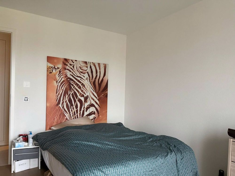 Geräumiges 2,5-Zimmer-Appartement von 66 m2 - Bild 4