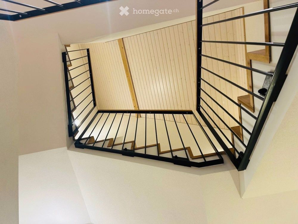 Nigelnagelneues Landhaus mit Parkplätzen und kleinem Park, 15 Autominuten vom Bellevue ZH entfernt - Bild 7