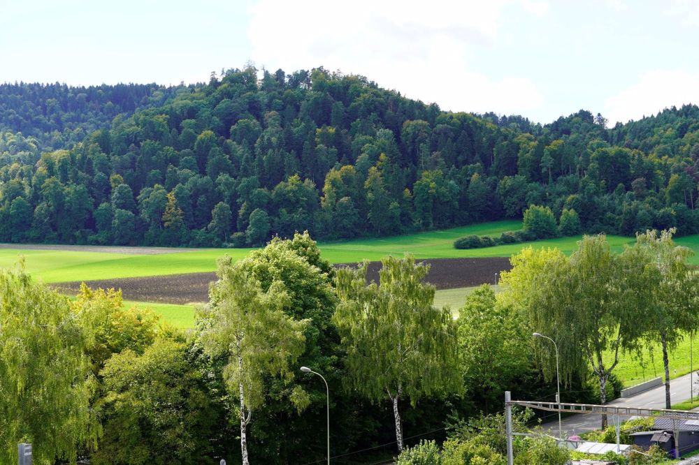 ATTIKA-ATTIKA-7/24 Besichtigung-u.kueng@l-b.ch-jetzt melden!-ATTIKA - Bild 13