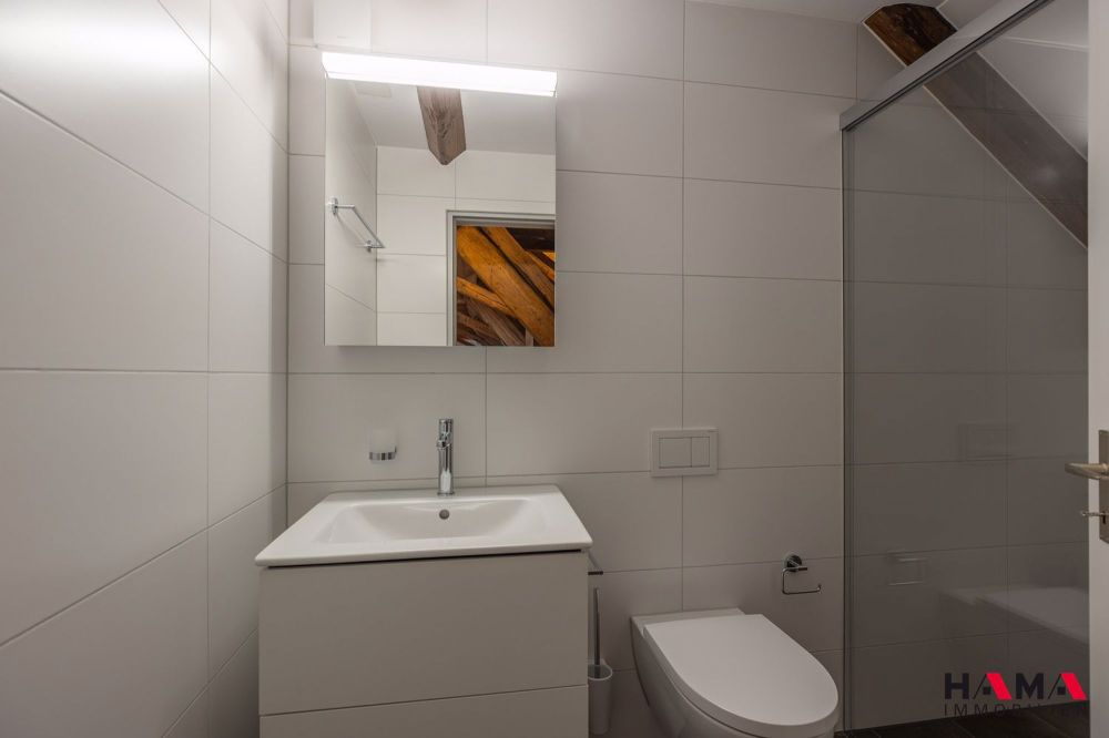 ERSTVERMIETUNG 5.5-Zimmer-Loft-Wohnung in Oftringen - Bild 8