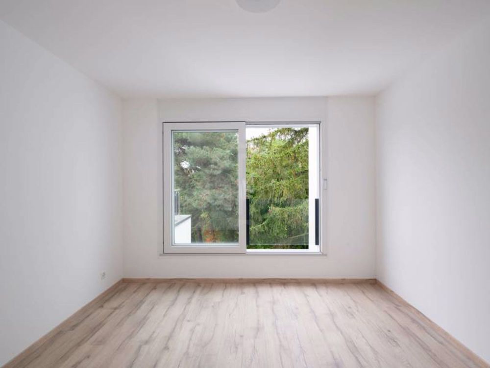 Helles Apartment - Grand-Lancy - Bild 10