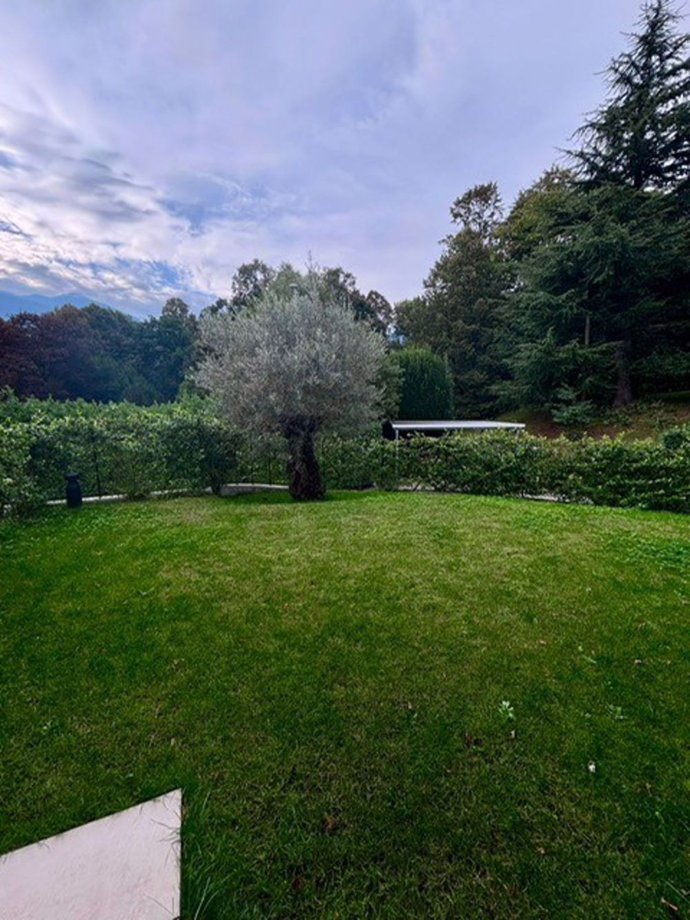 Modernes Apartment 2.5 Zimmer mit privatem Garten in Ponte Capriasca - Bild 12