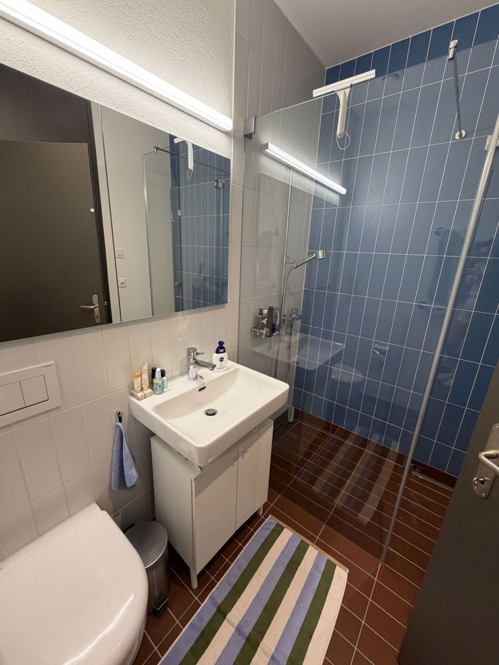 2.5-room apartment with balcony and river view Zurich Manegg (Sihllife) - Bild 11