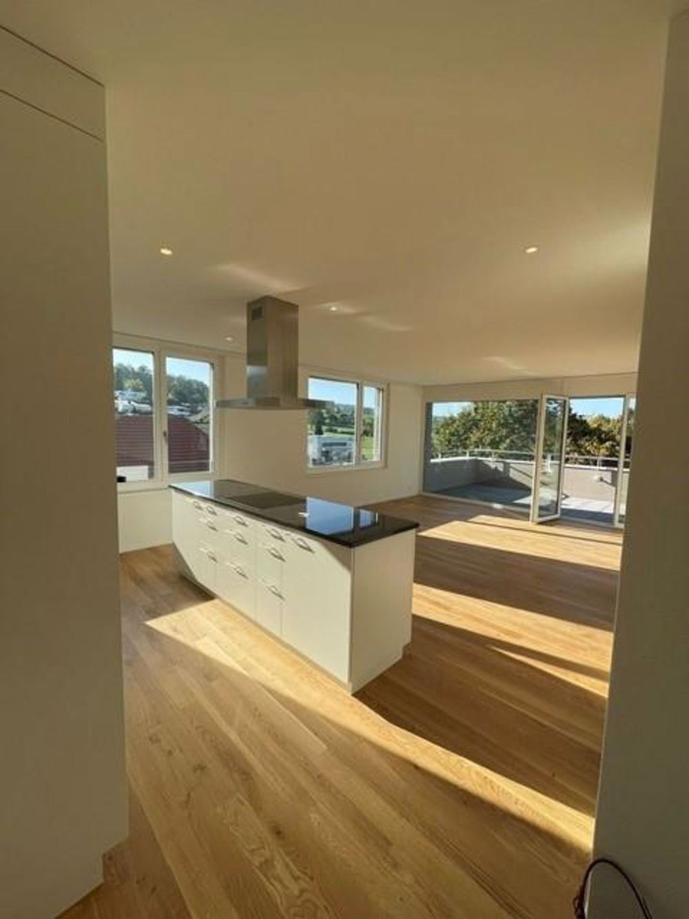 Attikatraum - 3½-Zimmerwohnung mit 65m2 grosser Terrasse - Bild 2