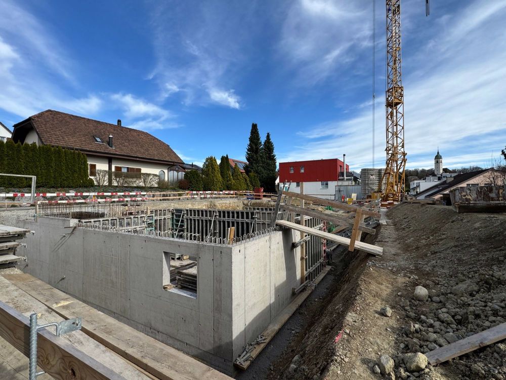 Freistehendes 5.5 Zi. EFH Haus B mit Weitsicht, im Steuerparadies Meisterschwanden - Bild 4