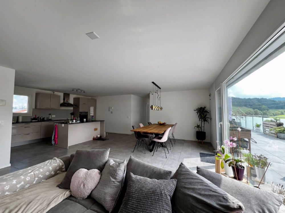 attraktive 4½ Zimmer-Attikawohnung in Neubau - Bild 4